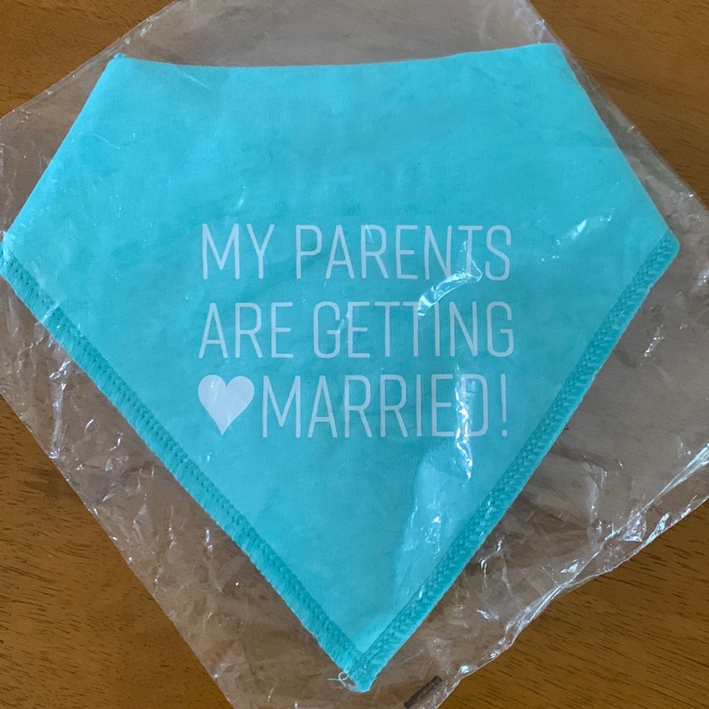 Teal Bib